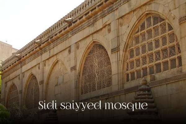Sidi saiyyed mosque